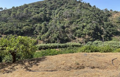 Resale - Plot - Land - Estepona - Estepona Centro