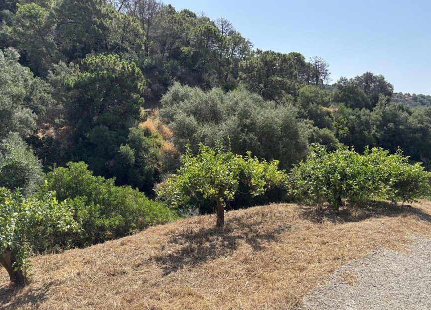 Resale - Plot - Land - Estepona - Estepona Centro