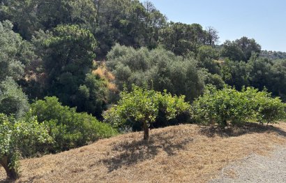 Resale - Plot - Land - Estepona - Estepona Centro