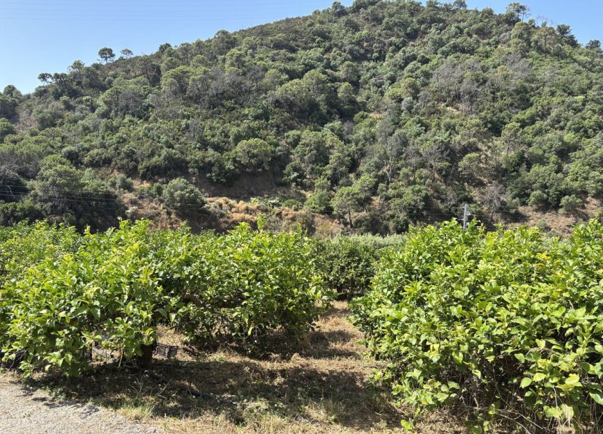 Resale - Plot - Land - Estepona - Estepona Centro