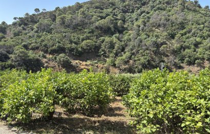 Resale - Plot - Land - Estepona - Estepona Centro