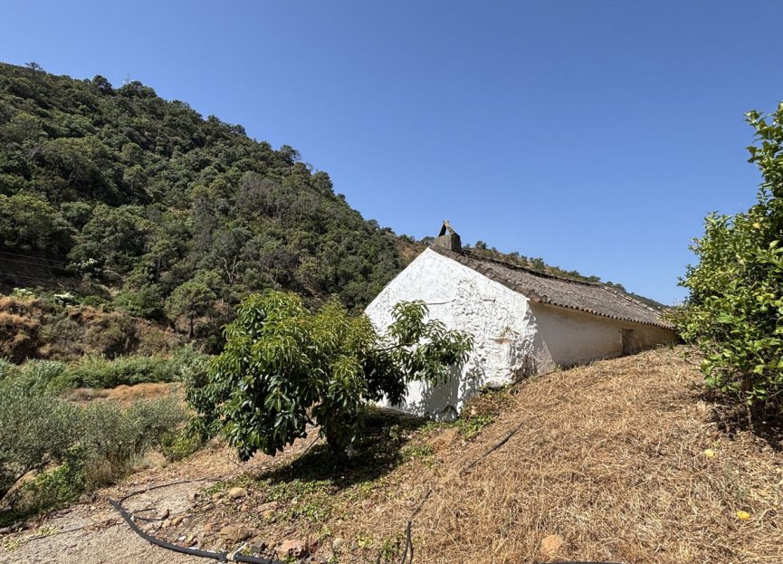 Resale - Plot - Land - Estepona - Estepona Centro