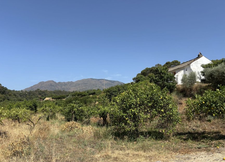 Resale - Plot - Land - Estepona - Estepona Centro