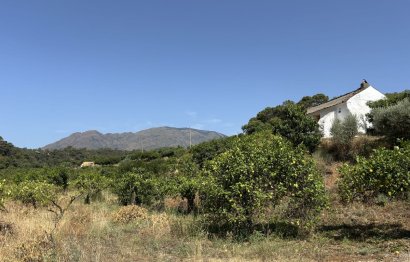 Resale - Plot - Land - Estepona - Estepona Centro