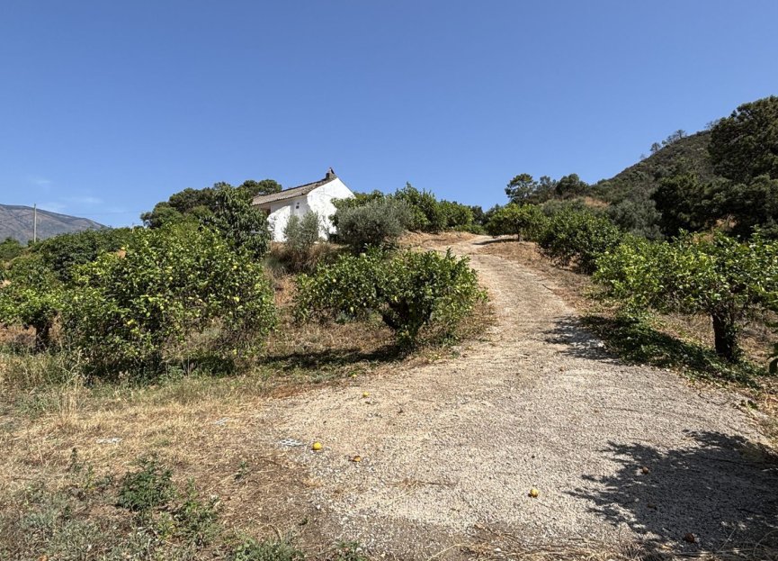 Resale - Plot - Land - Estepona - Estepona Centro