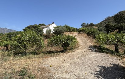 Resale - Plot - Land - Estepona - Estepona Centro