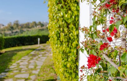 Resale - Apartment - Top Floor Apartment - Benahavís - Los Arqueros