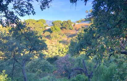 New Build - Plot - Residential Plot - Marbella - Elviria