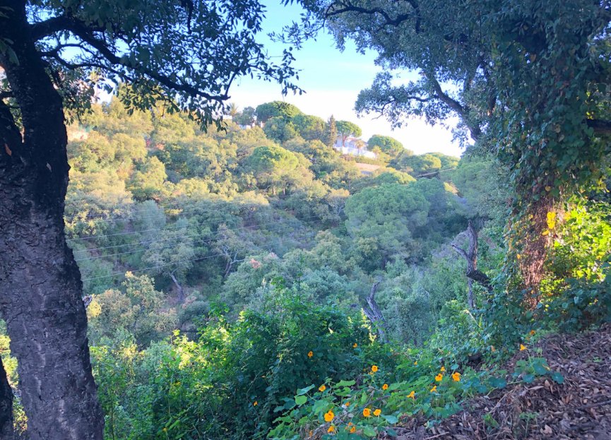 New Build - Plot - Residential Plot - Marbella - Elviria