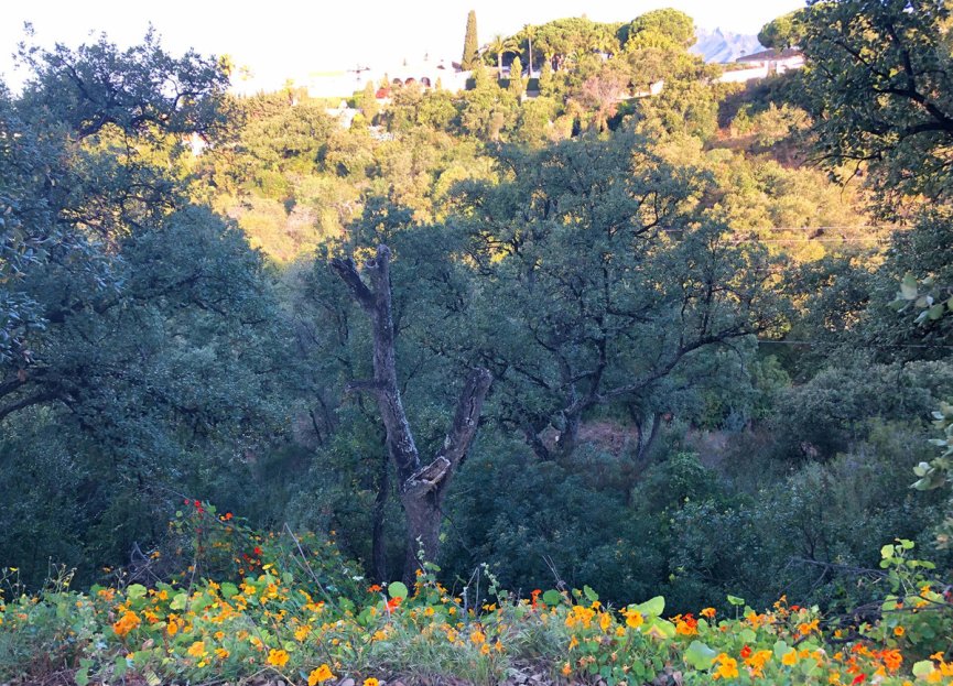 New Build - Plot - Residential Plot - Marbella - Elviria