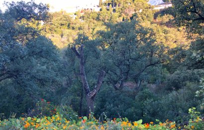 New Build - Plot - Residential Plot - Marbella - Elviria