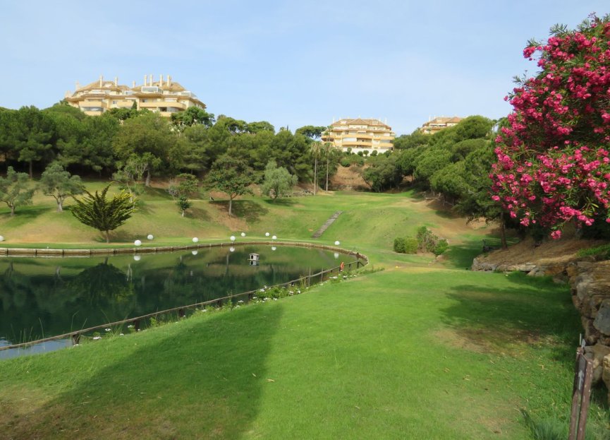 Resale - Ground floor apartment - Marbella - Elviria
