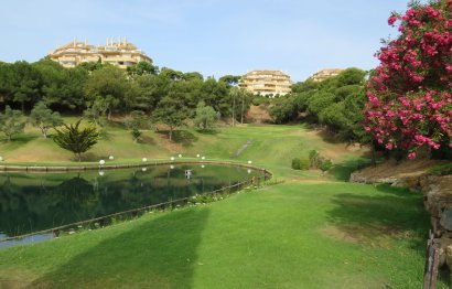 Resale - Ground floor apartment - Marbella - Elviria