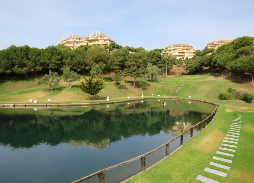 Resale - Ground floor apartment - Marbella - Elviria