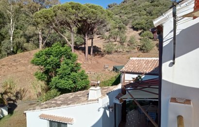 Resale - House - Finca - Cortijo - Casares - Casares Centro
