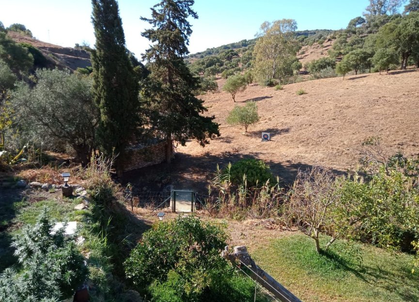 Resale - House - Finca - Cortijo - Casares - Casares Centro