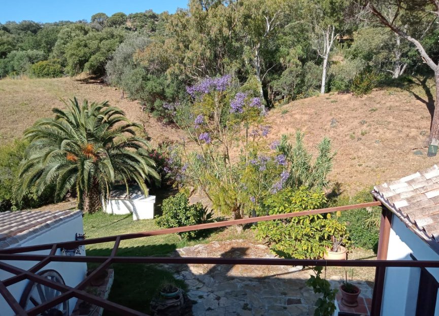 Resale - House - Finca - Cortijo - Casares - Casares Centro