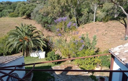 Resale - House - Finca - Cortijo - Casares - Casares Centro