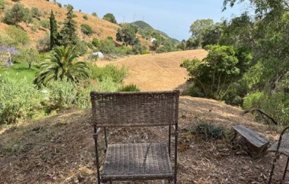 Resale - House - Finca - Cortijo - Casares - Casares Centro