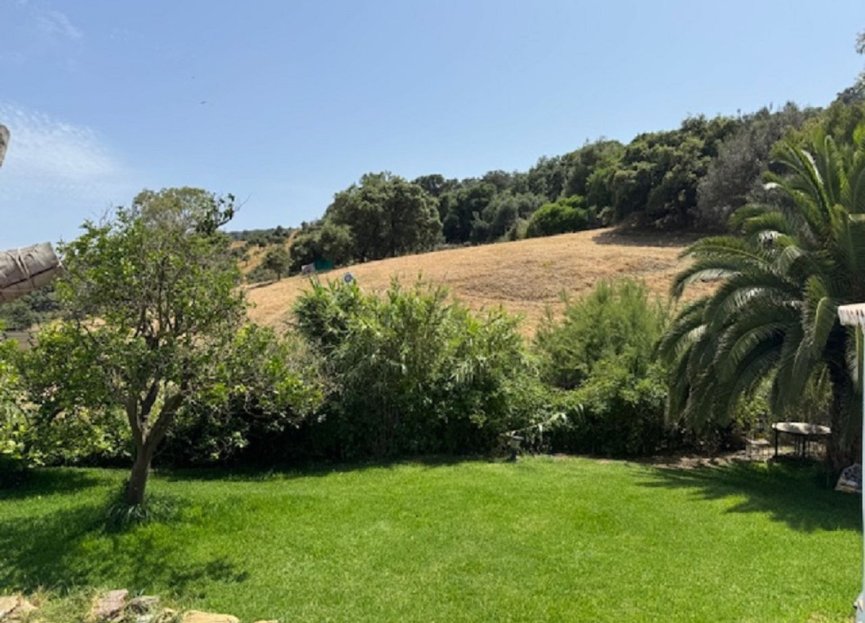 Resale - House - Finca - Cortijo - Casares - Casares Centro