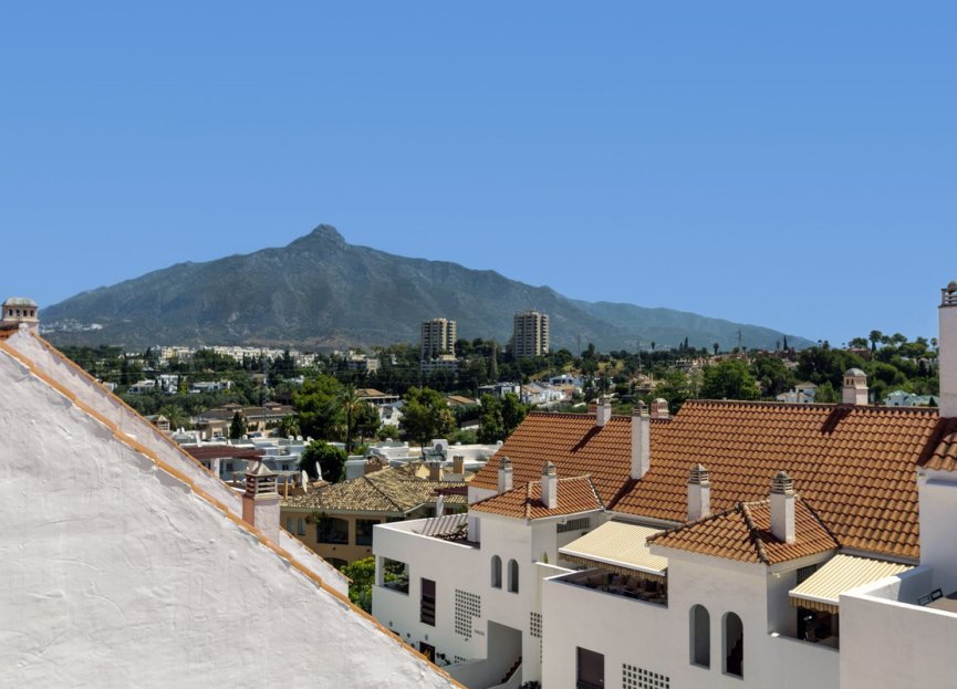 Resale - Apartment - Top Floor Apartment - Marbella - Nueva Andalucia