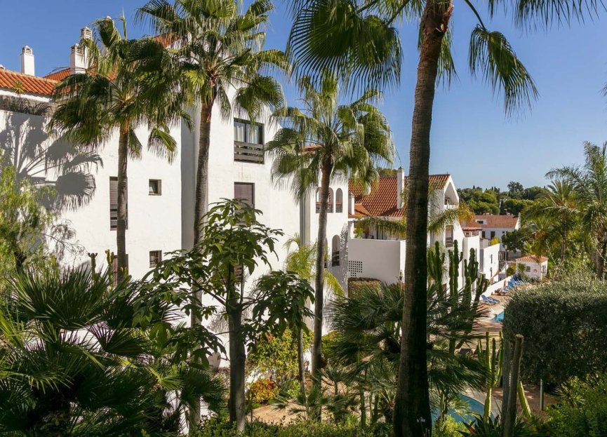 Resale - Apartment - Top Floor Apartment - Marbella - Nueva Andalucia