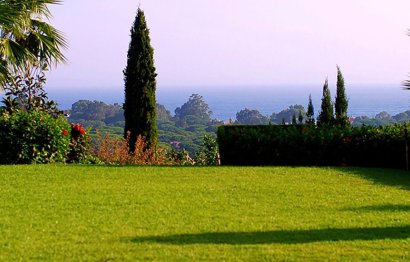 Resale - House - Detached Villa - Marbella - Elviria