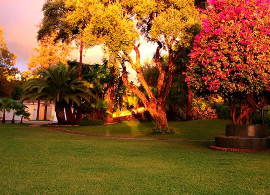 Resale - House - Detached Villa - Marbella - Elviria