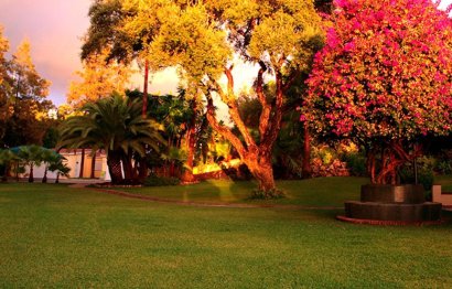 Resale - House - Detached Villa - Marbella - Elviria