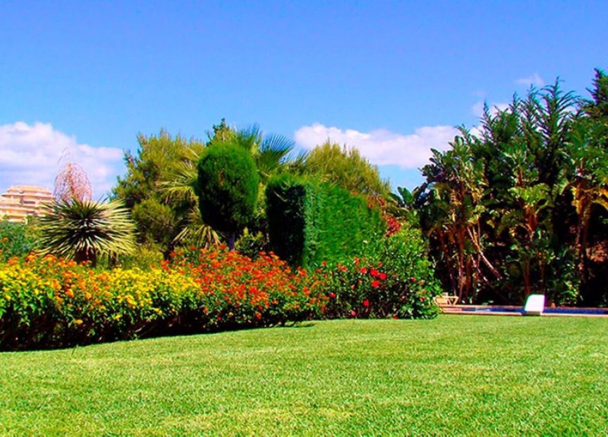 Resale - House - Detached Villa - Marbella - Elviria