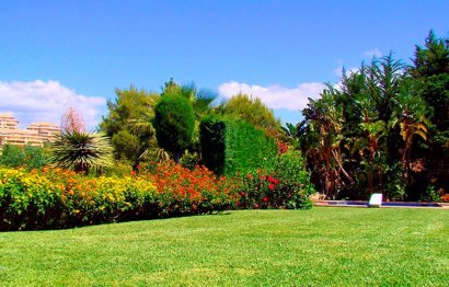 Resale - House - Detached Villa - Marbella - Elviria