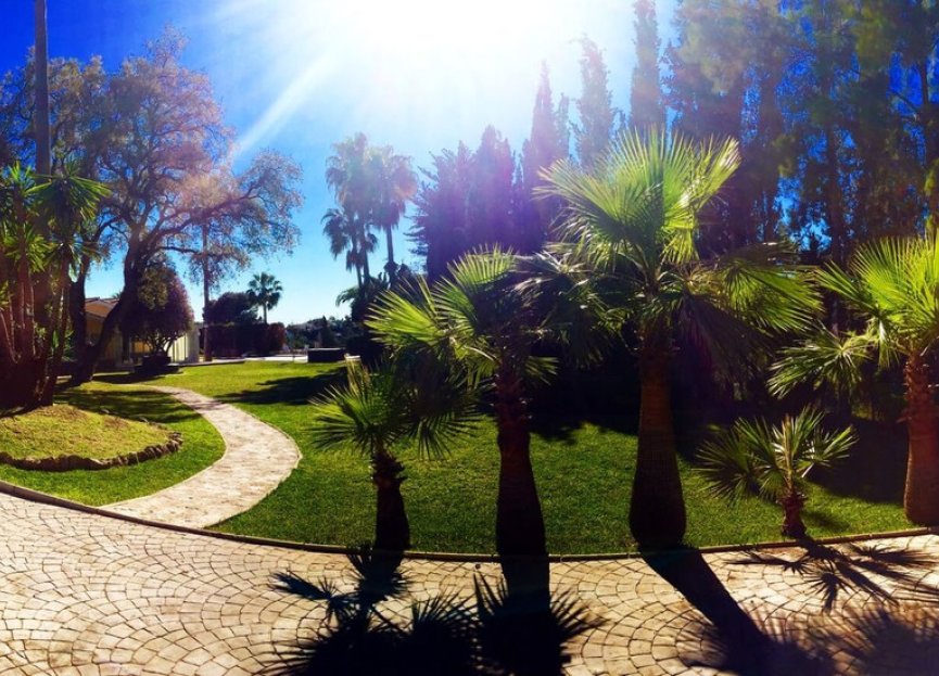 Resale - House - Detached Villa - Marbella - Elviria