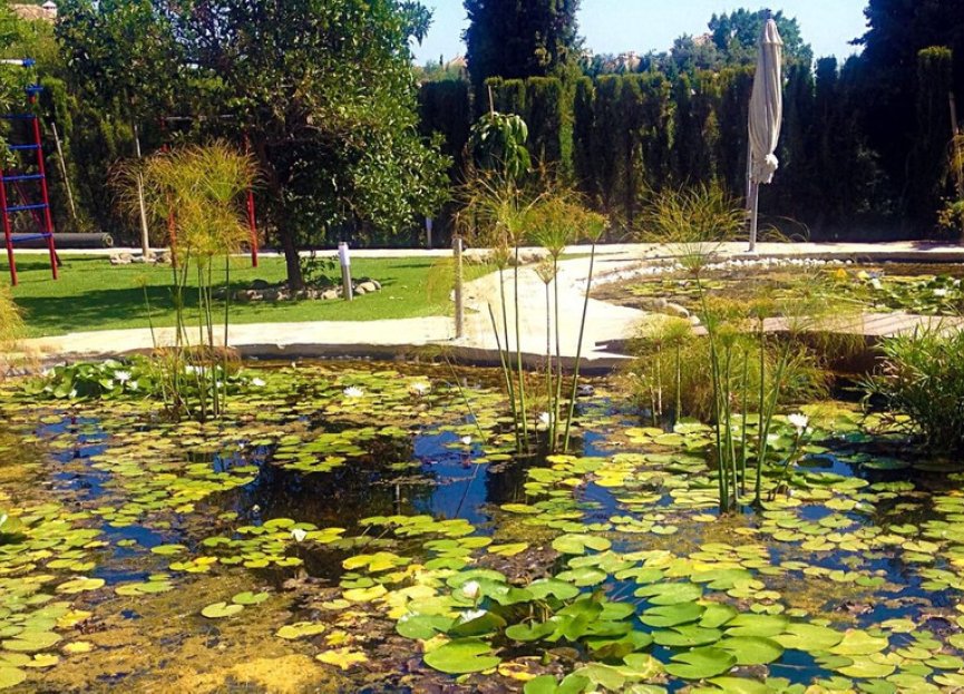 Resale - House - Detached Villa - Marbella - Elviria