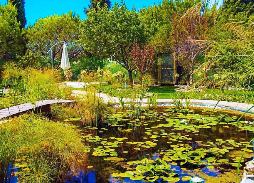 Resale - House - Detached Villa - Marbella - Elviria