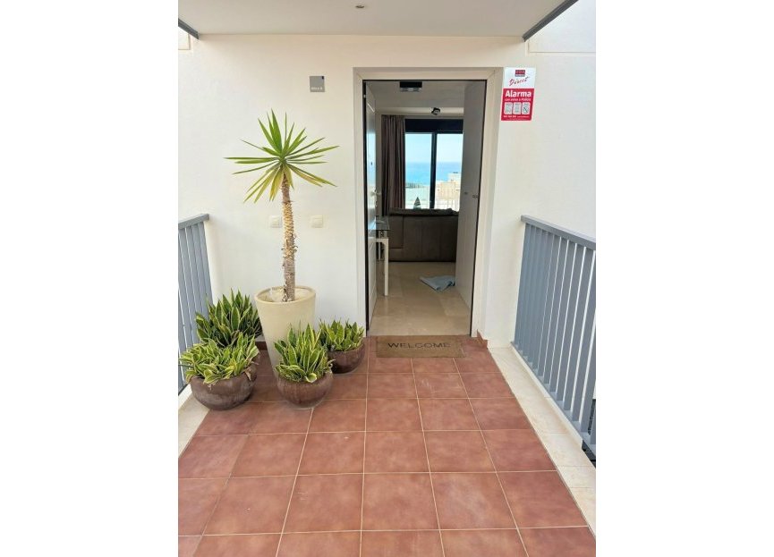 Resale - Apartment - Penthouse - Casares - Casares Playa