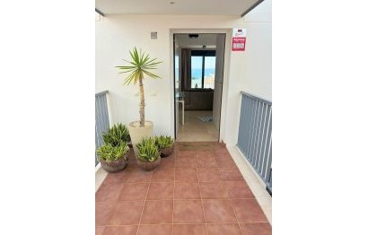 Resale - Apartment - Penthouse - Casares - Casares Playa