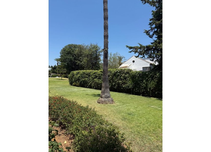 Resale - Apartment - Top Floor Apartment - Marbella - Nueva Andalucia