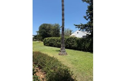 Resale - Apartment - Top Floor Apartment - Marbella - Nueva Andalucia