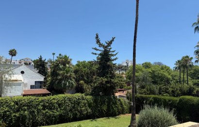 Resale - Apartment - Top Floor Apartment - Marbella - Nueva Andalucia