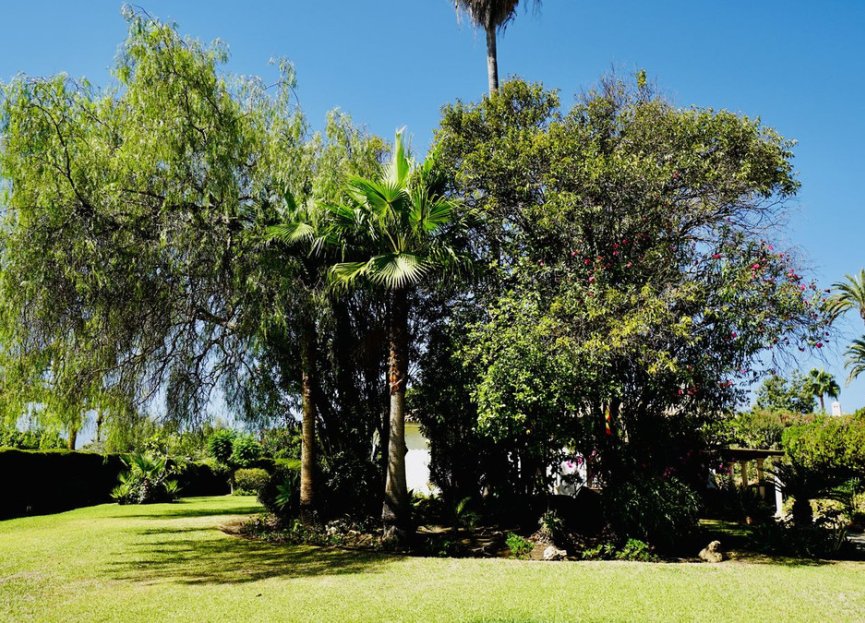 Reventa - House - Detached Villa - El Paraiso - El Paraíso