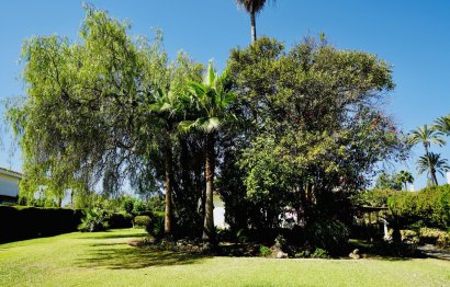 Reventa - House - Detached Villa - El Paraiso - El Paraíso