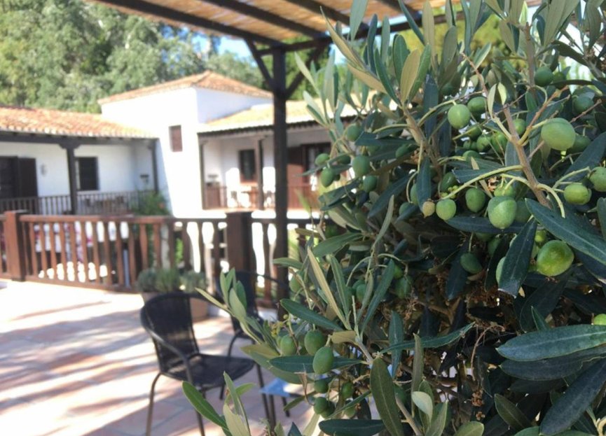 Resale - House - Finca - Cortijo - Estepona - Estepona Centro