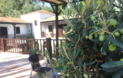 Resale - House - Finca - Cortijo - Estepona - Estepona Centro