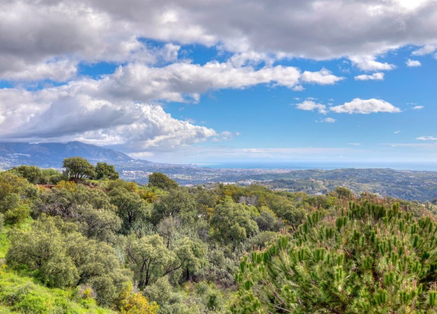 Resale - Apartment - Penthouse - Marbella - La Mairena