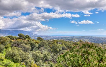 Resale - Apartment - Penthouse - Marbella - La Mairena