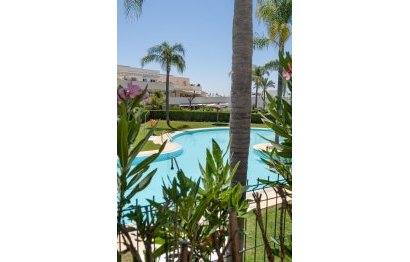 Resale - Apartment - Middle Floor Apartment - Marbella - Nueva Andalucia