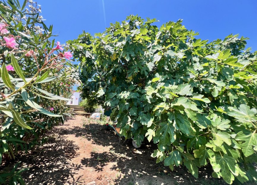 Reventa - House - Detached Villa - Estepona - Estepona Centro