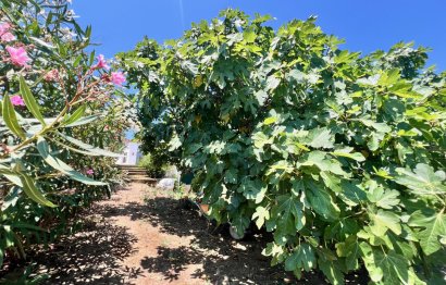 Reventa - House - Detached Villa - Estepona - Estepona Centro