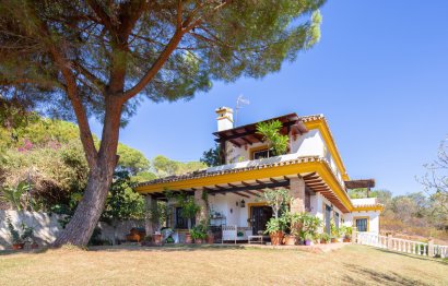 Resale - House - Detached Villa - Marbella - Elviria