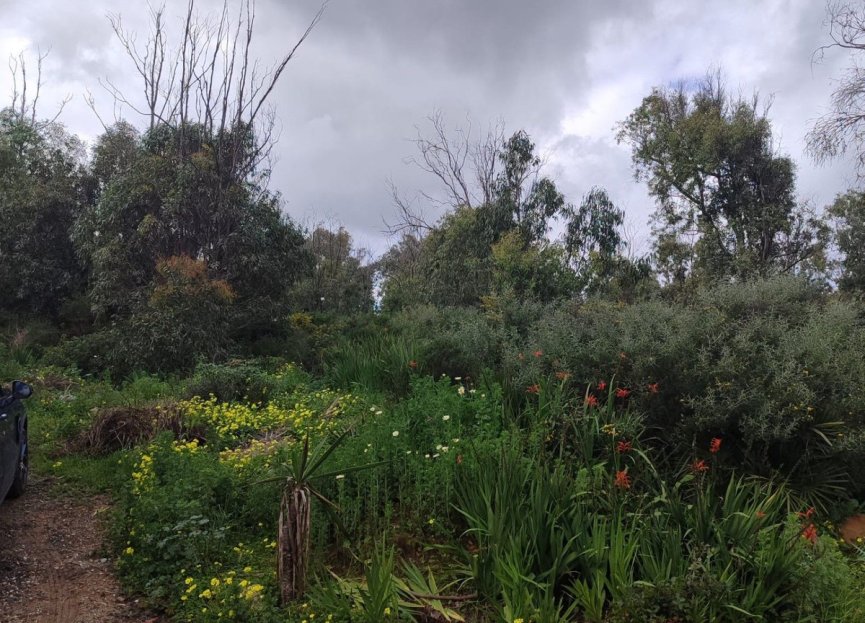 Resale - Plot - Residential Plot - Manilva - Manilva Centro